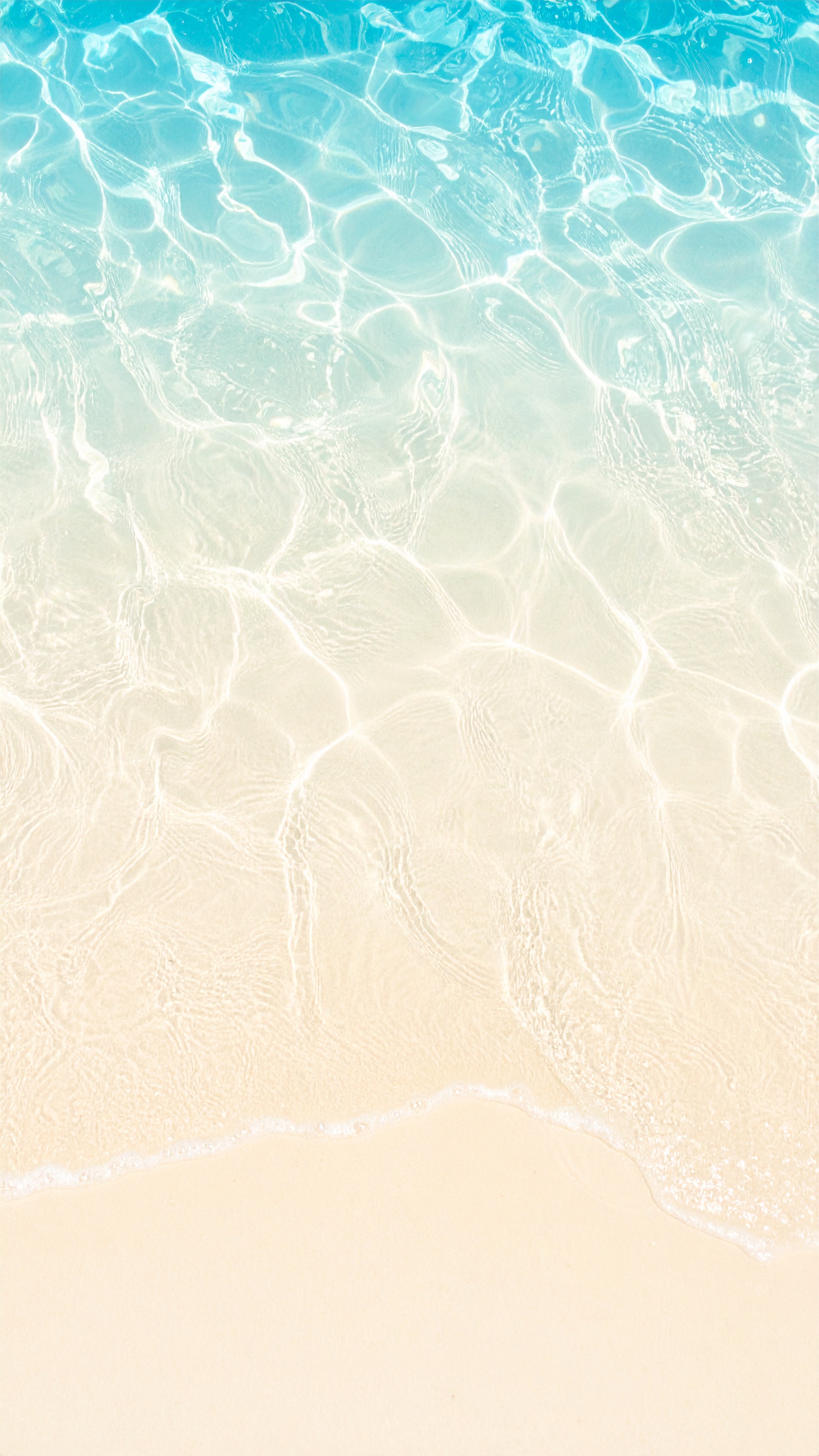 縦の夏の海の浜辺の背景壁紙