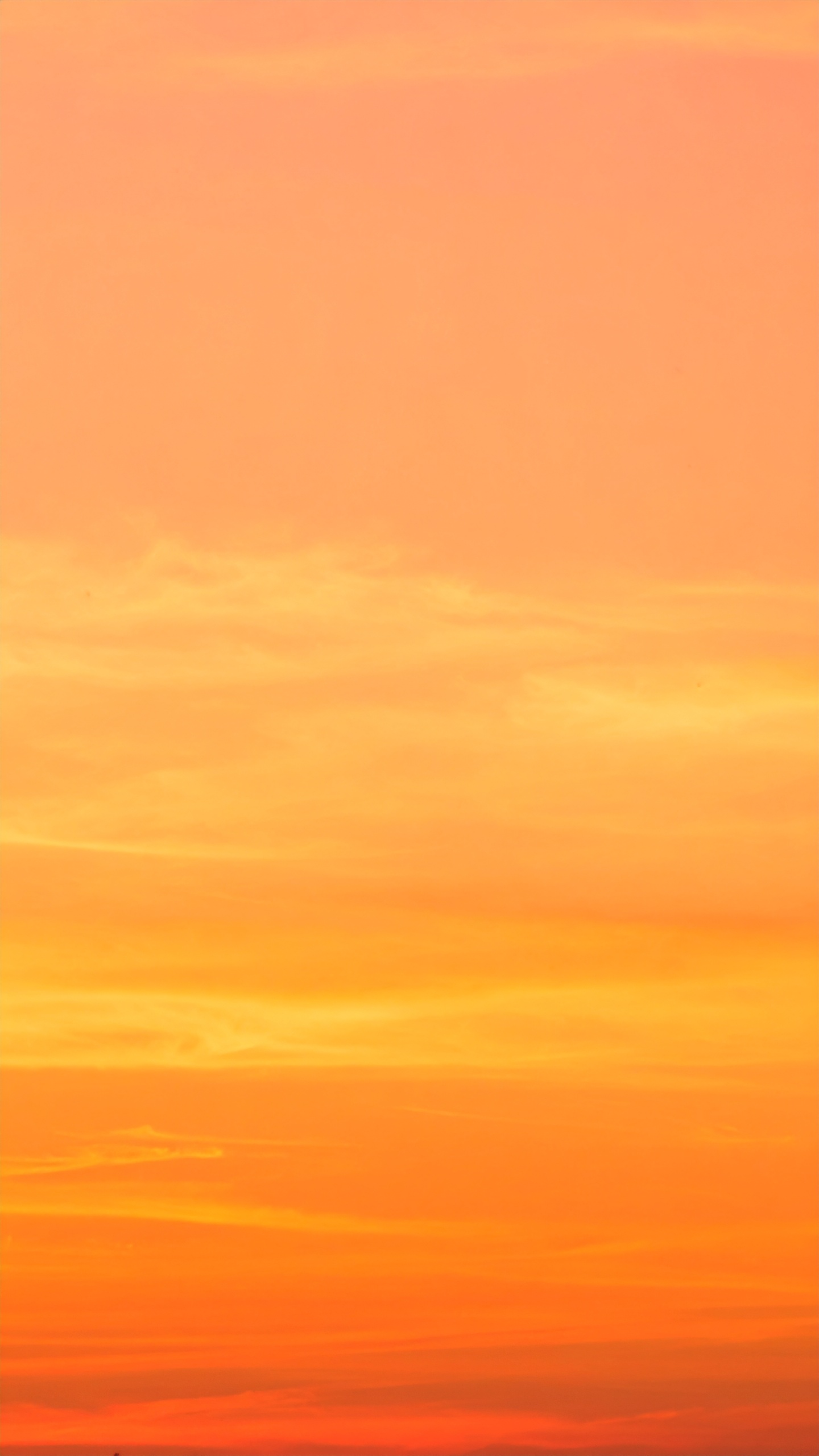 縦の夕方の空の背景画像